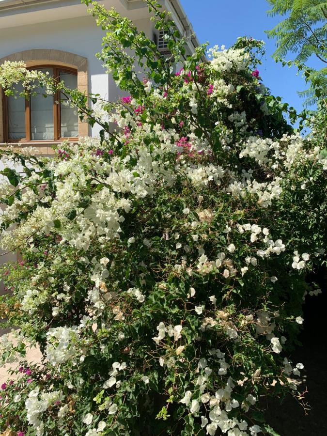 Villa Spectacular Views From In Lapta Girne