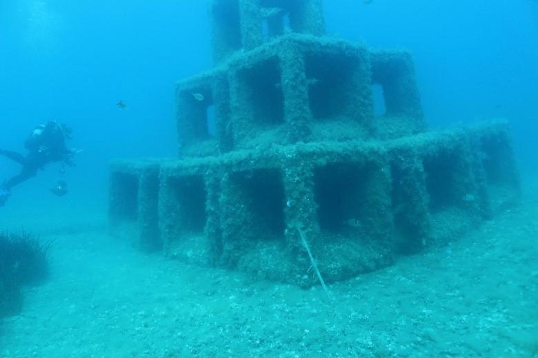 1 Bedroom With A Magnificent Sea View *