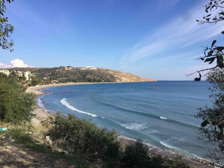 Aphrodite Gardens