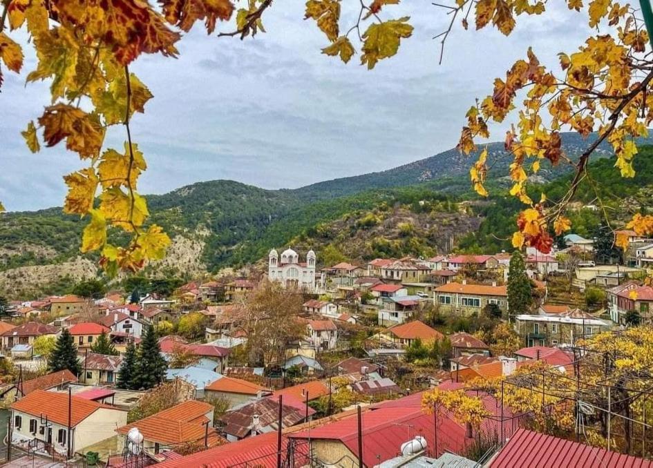 Capuralli Hotel Pedhoulas