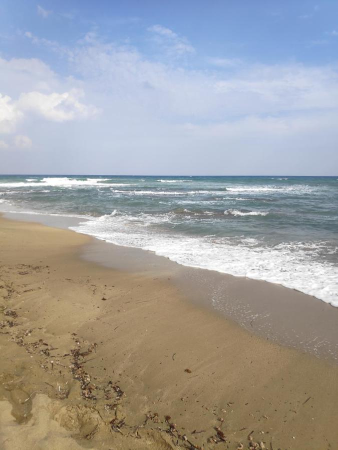Relax&dream Long * Agios Georgios (Famagusta)