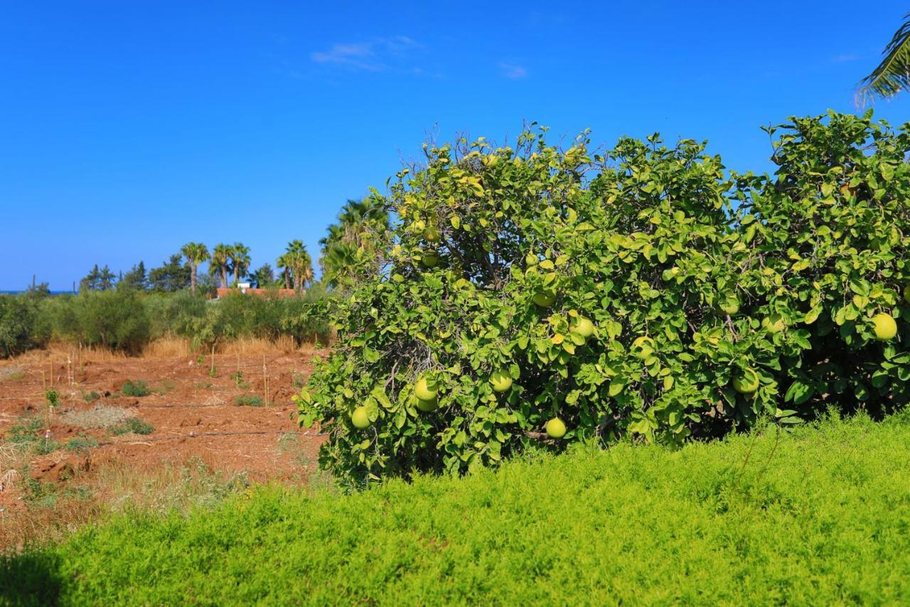 Pousada Stavriella Lachi
