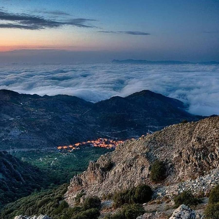 Madari Hills Health Retreat Holiday home Nicosia