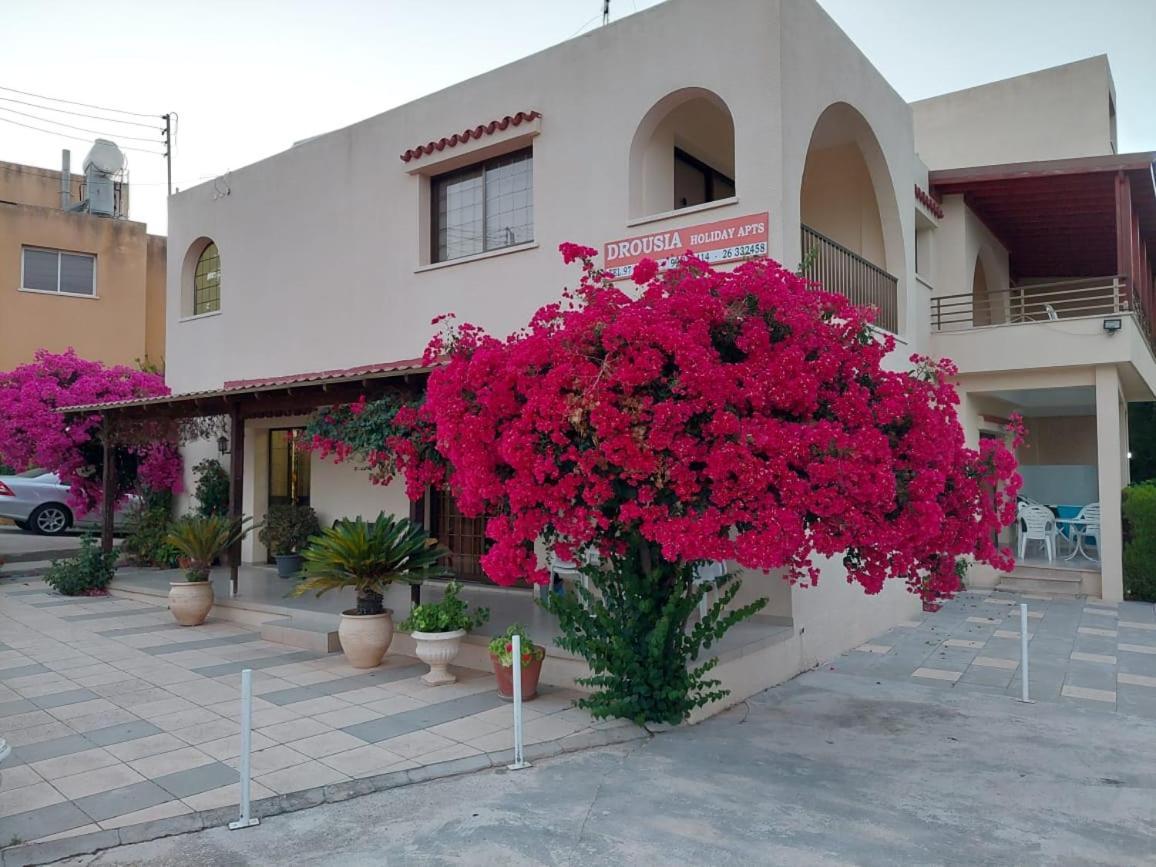Droushia Holiday Apartment Dhrousha
