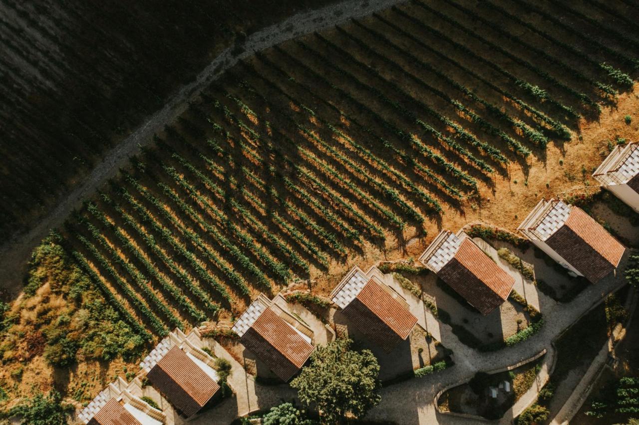 Gillham Vineyard Templos