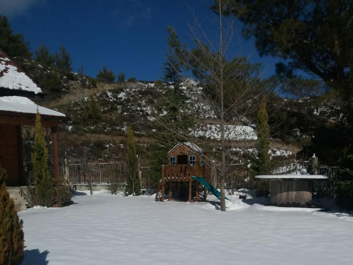 Timber Log House Chalet Agros