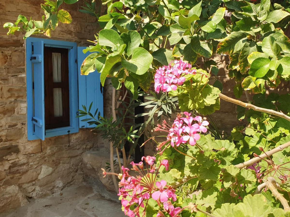 Apartment Vasilopoulos House *
