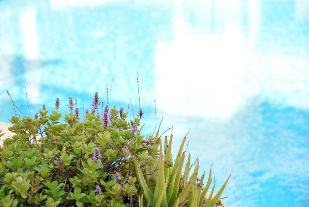 Apartment Royal Seacrest а203 Sea View Paphos