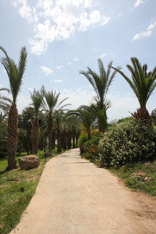 Ascos Coral 4* Coral Bay