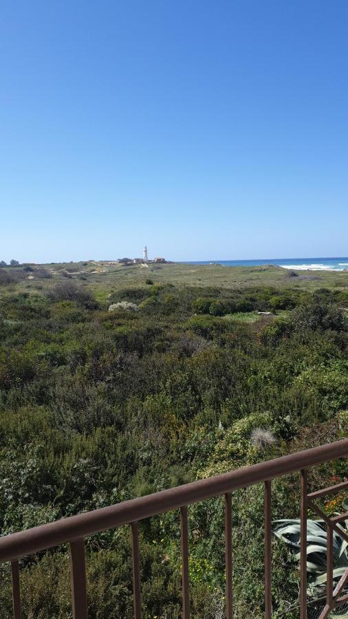 Ancient - Cozy Place Next To The Sea, Marina, Historical Sites, Buses, Mall, And Market * Paphos