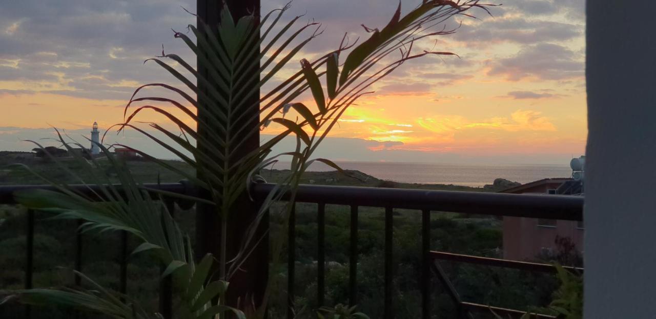 Apartamento Ancient - Cozy Place Next To The Sea, Marina, Historical Sites, Buses, Mall, And Market *