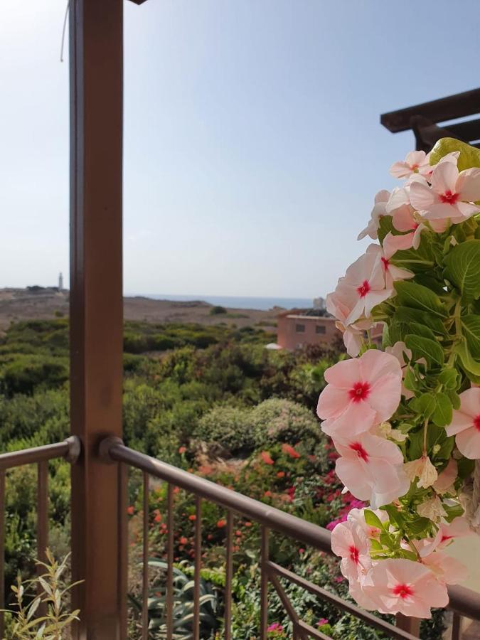 Apartamento Ancient - Cozy Place Next To The Sea, Marina, Historical Sites, Buses, Mall, And Market Paphos