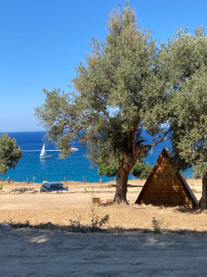 Aphrodite Family Eco