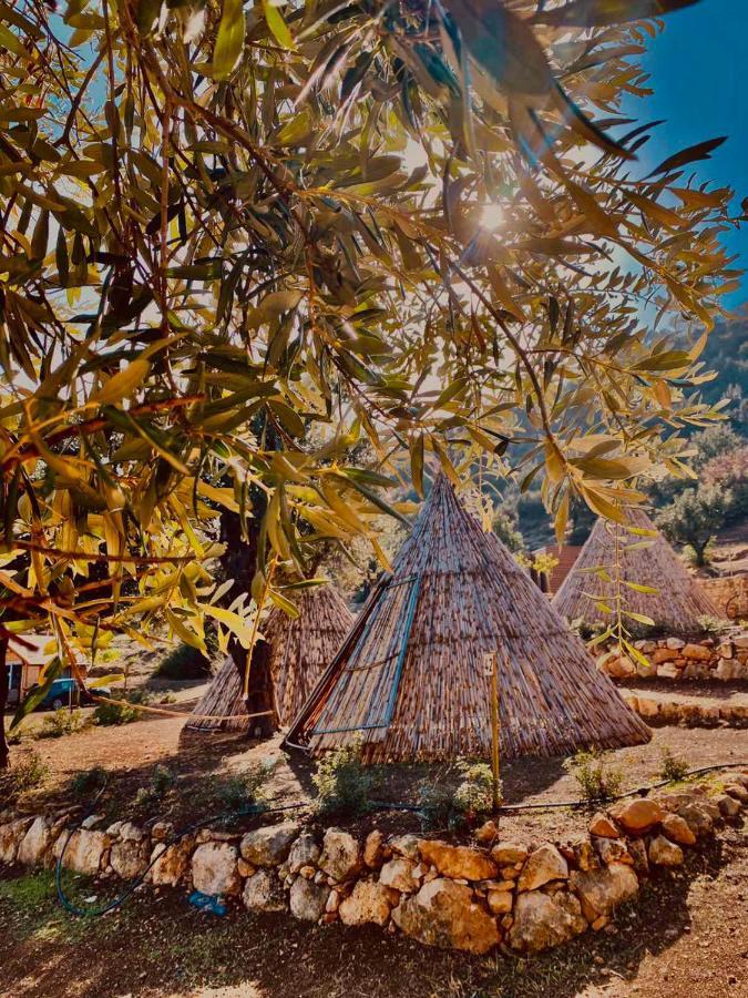 Aphrodite Family Eco Campsite