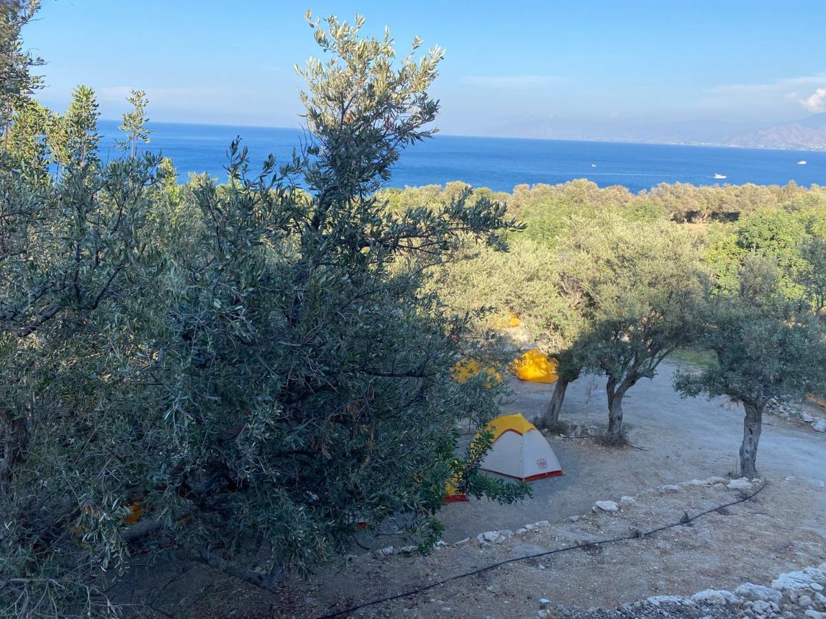 Campsite Aphrodite Family Eco Neo Chorio