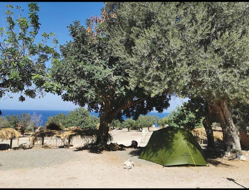 Aphrodite Family Eco Campsite *