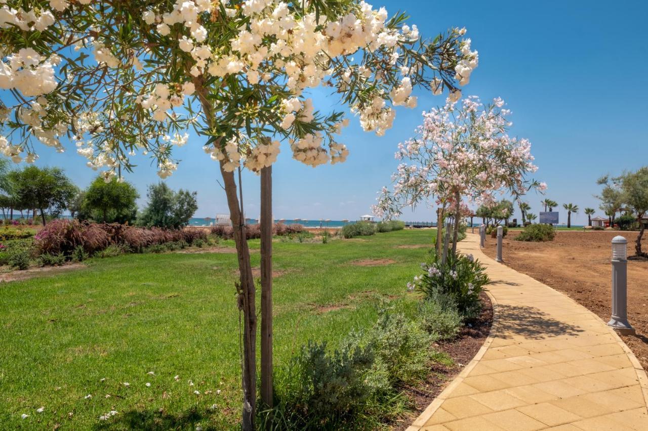 Thalassa & Retreat