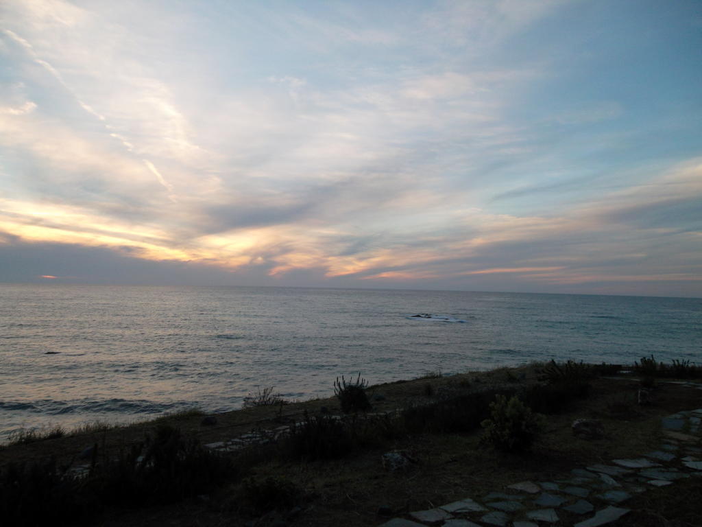 Beach Pantheon
