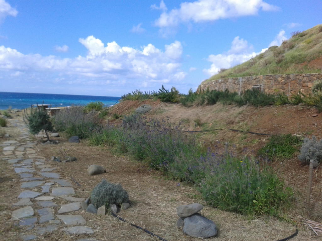 Beach Pantheon