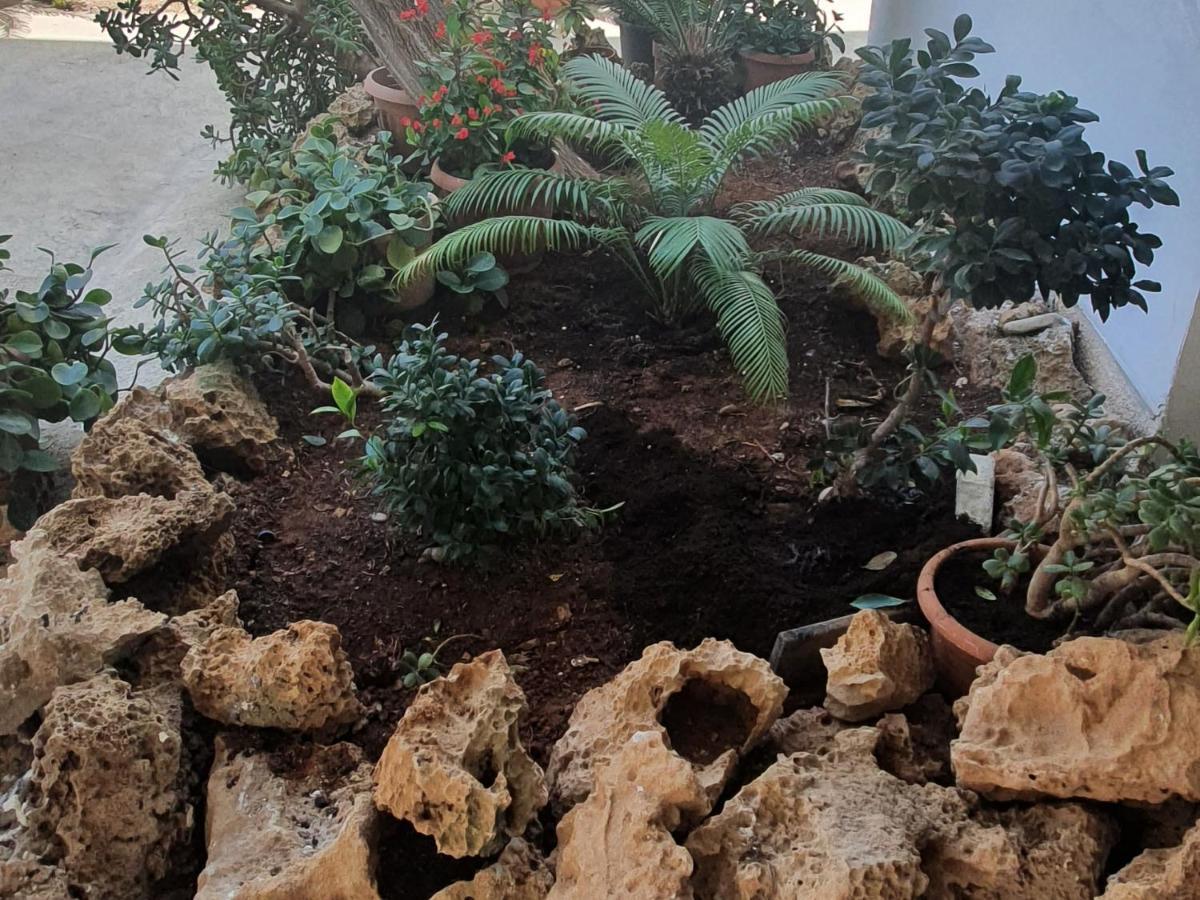 Apartamento Christothea Agia Napa