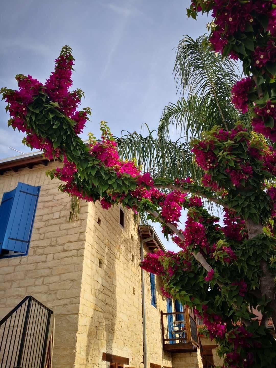 Niki's House Limassol
