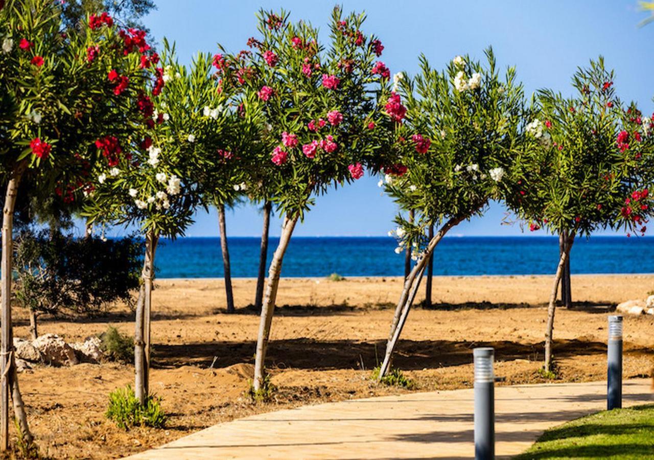 Relaxing Beachfront * Vokolidha