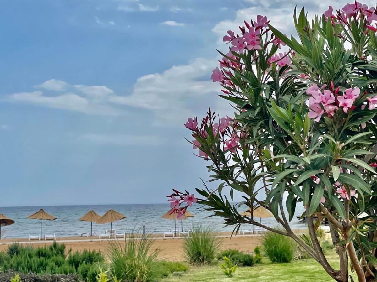 Lightness By The Sea Appartement *