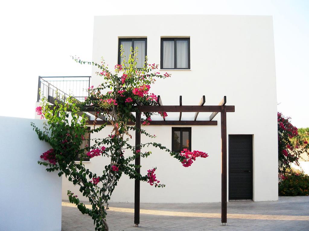 Aura * Paphos