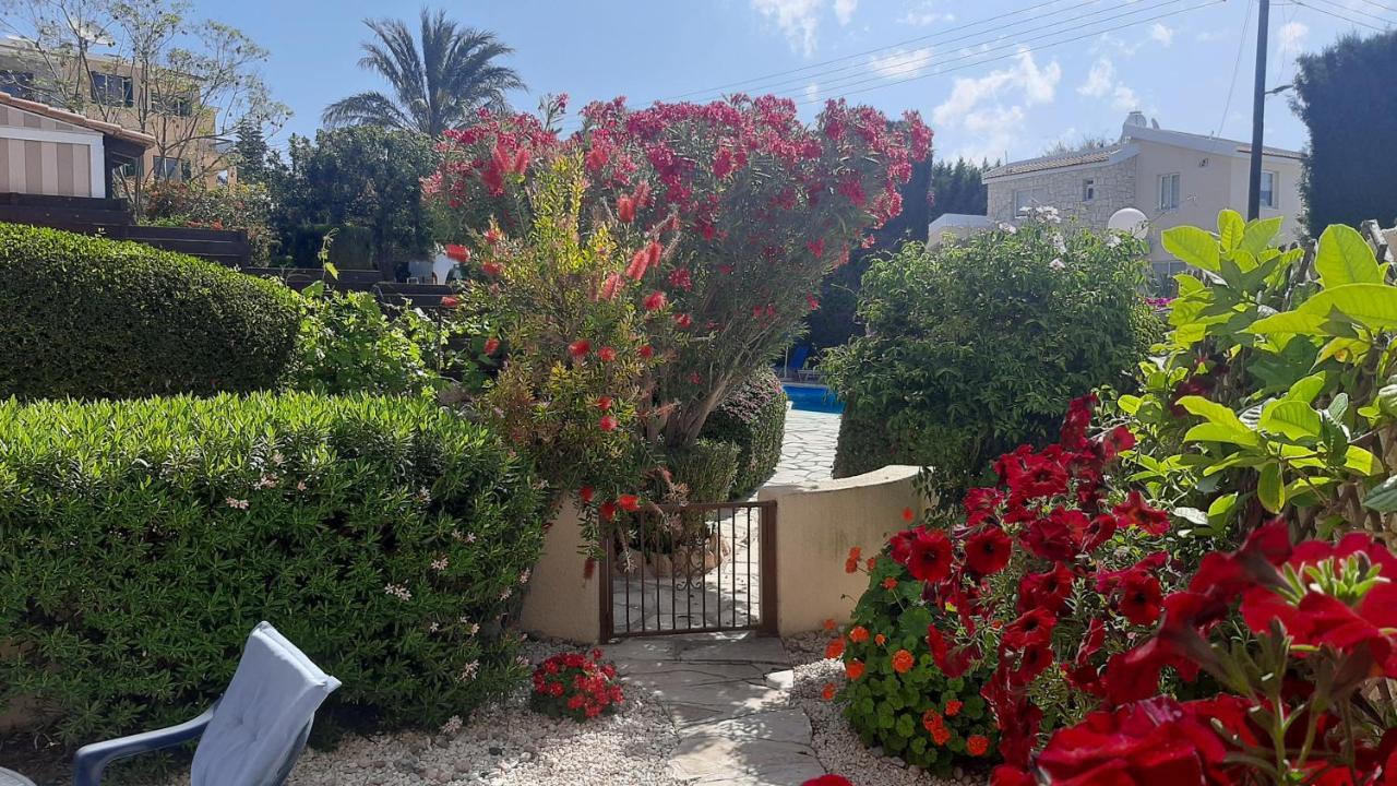 Eva Gardens Corner House With Stunning Garden And Huge Swimming Pool Next To Coral Bay Casa de férias