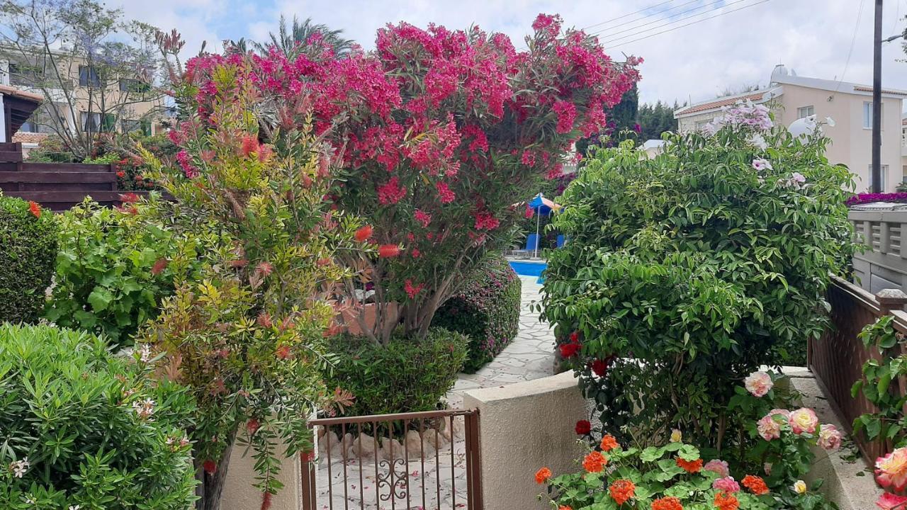 House In Eva Gardens With Pool&garden * Peyia