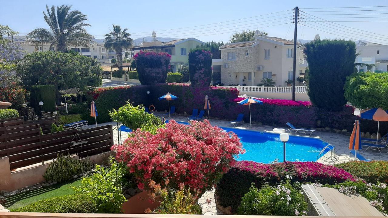 Eva Gardens Corner House With Stunning Garden And Huge Swimming Pool Next To Coral Bay Casa de férias Pegeia