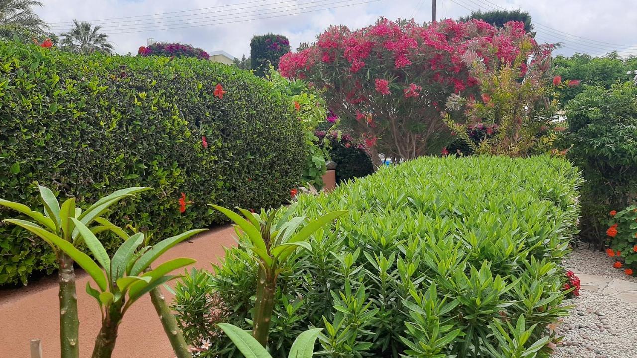 Eva Gardens Corner House With Stunning Garden And Huge Swimming Pool Next To Coral Bay Casa de férias *