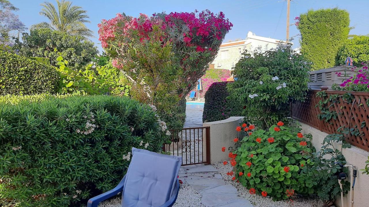 Eva Gardens Corner House With Stunning Garden And Huge Swimming Pool Next To Coral Bay * Pegeia