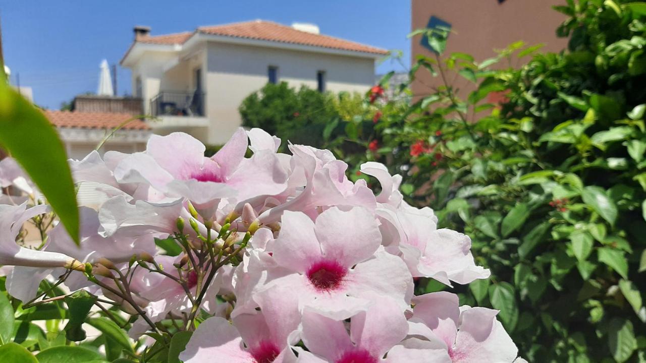 Casa de férias Eva Gardens Corner House With Stunning Garden And Huge Swimming Pool Next To Coral Bay *