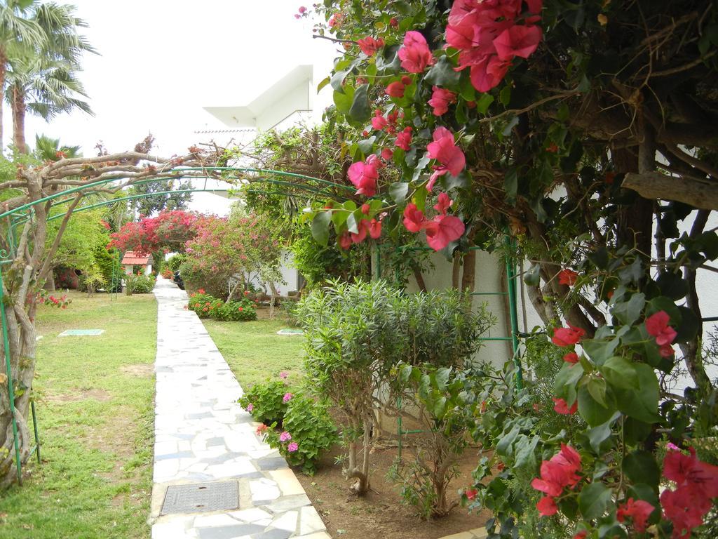 Tsialis Larnaca
