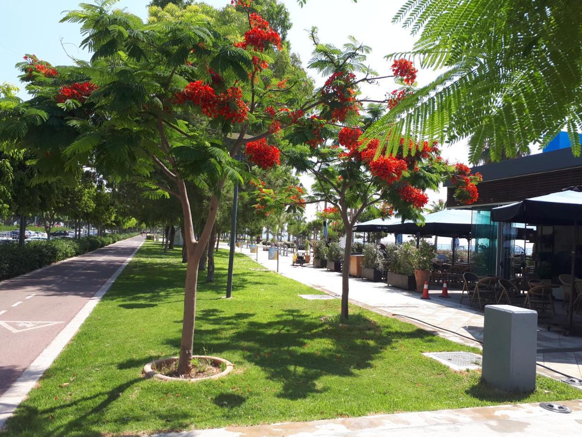 Sea Front & City Center, Amazing Sea View * Limassol