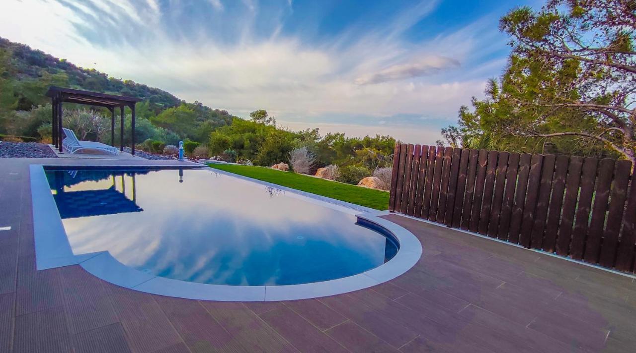Pine And Olive Seahouse Neo Chorio