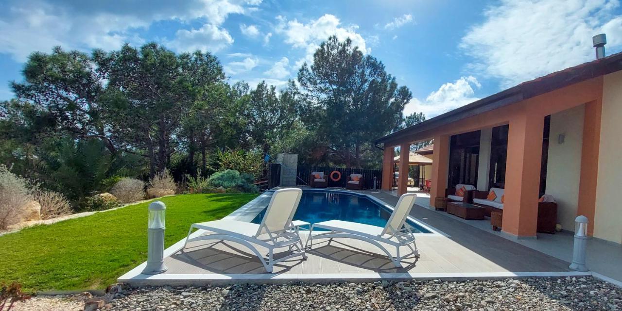 Pine And Olive Seahouse Neo Chorio