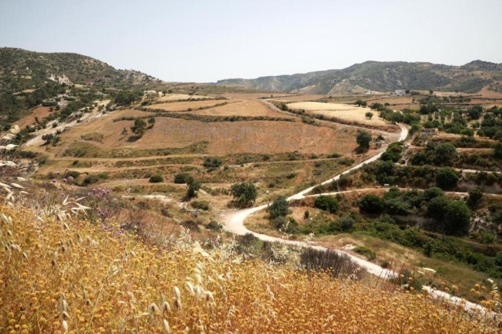 Panoramic Holidays - Premium 9 Apartment Peyia