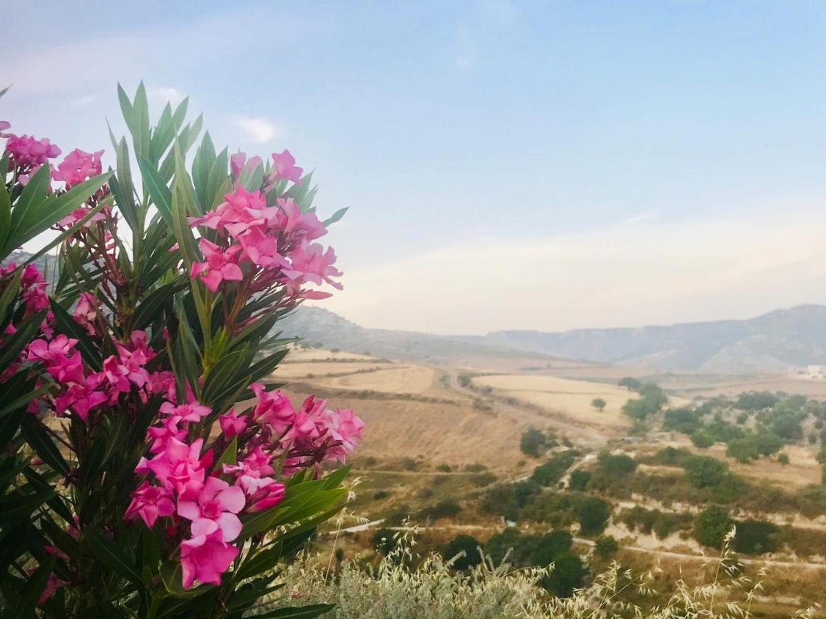 Panoramic Holidays - Premium 8 Peyia
