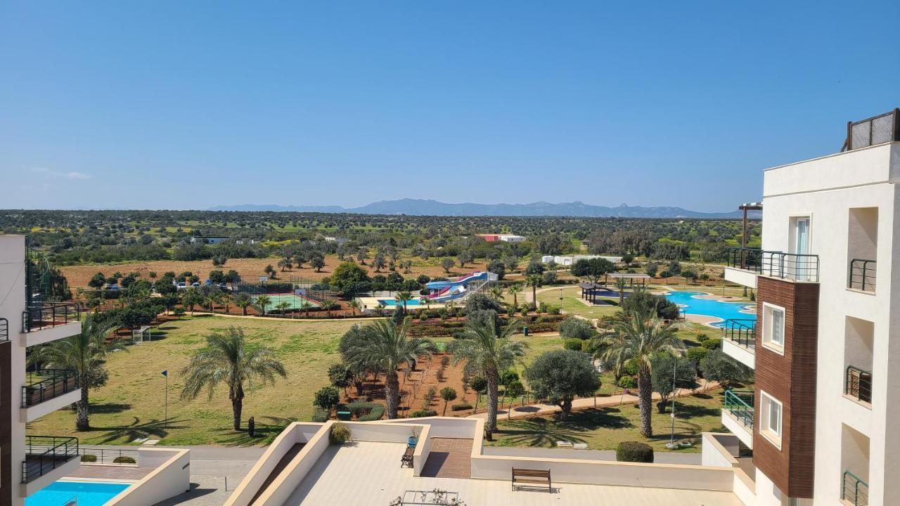 Premium Sun Apartment