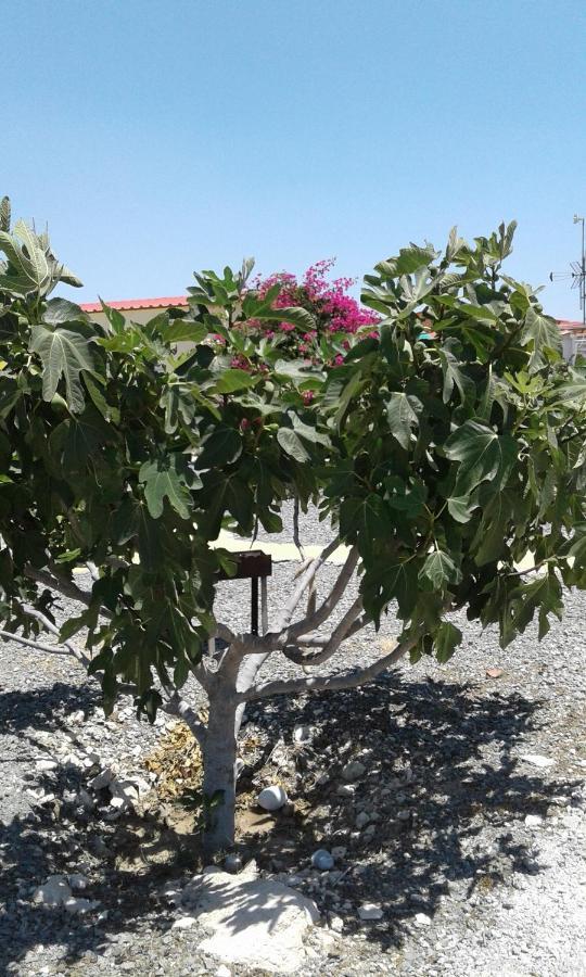 Vakantiehuis Mersinera Paradise Garden Stars House