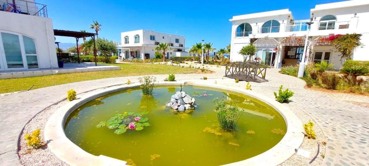Aphrodite Apartments North Cyprus Apartment *
