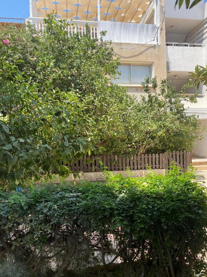 Apartment With Oleg C17 Paralimni