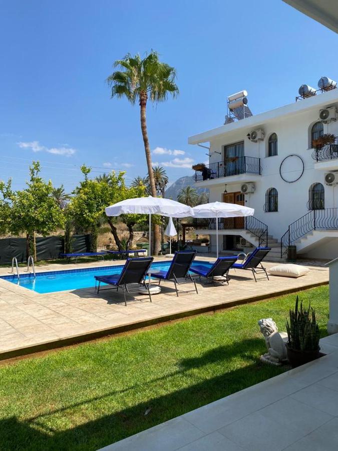 Templos Homes