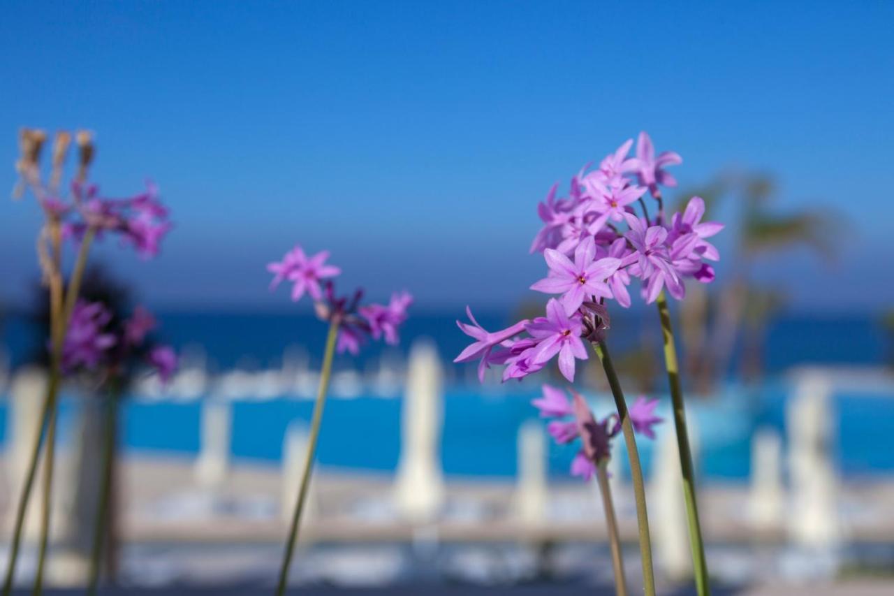 King Evelthon & Resort