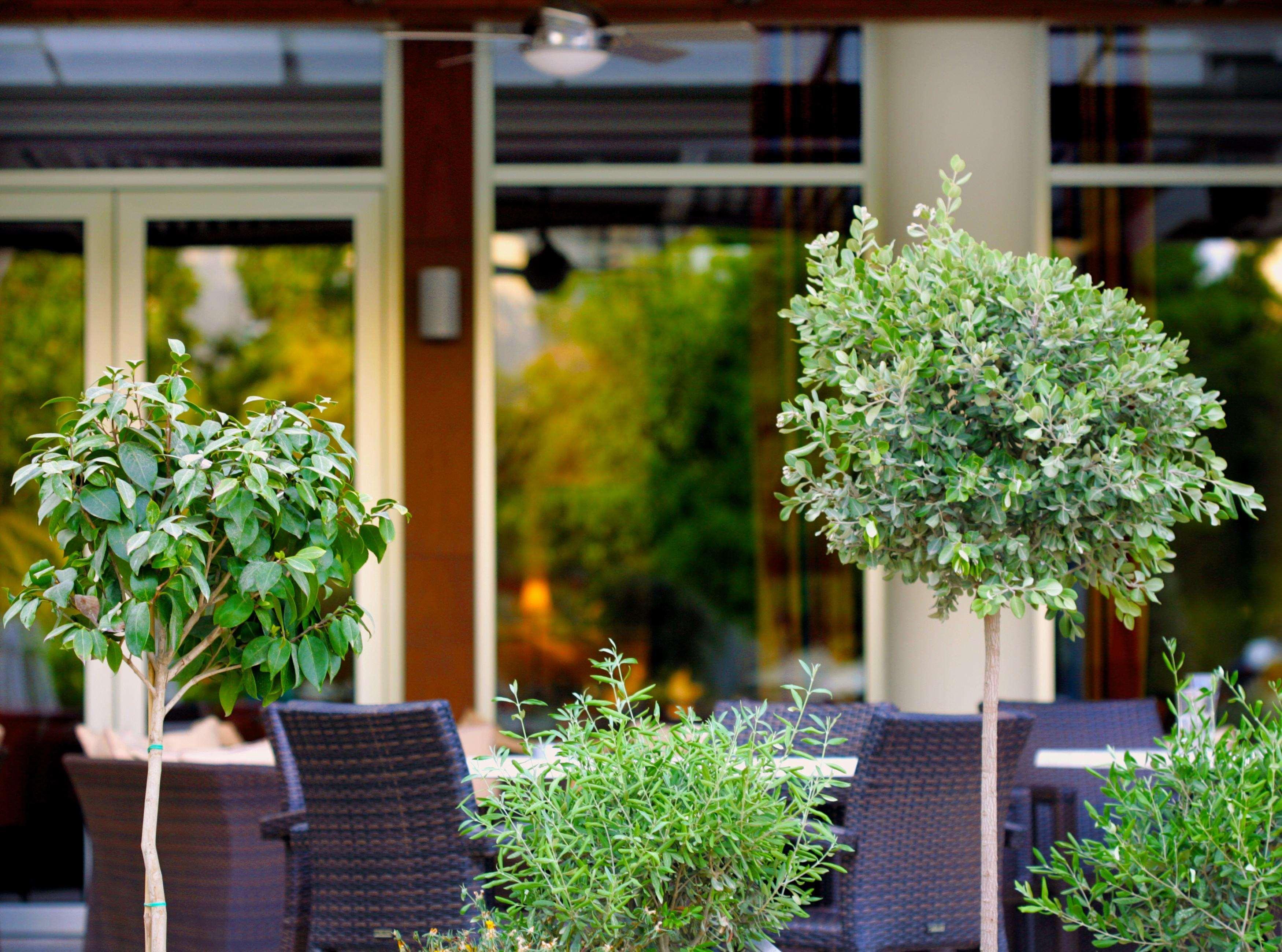 Hotel Ajax 4*