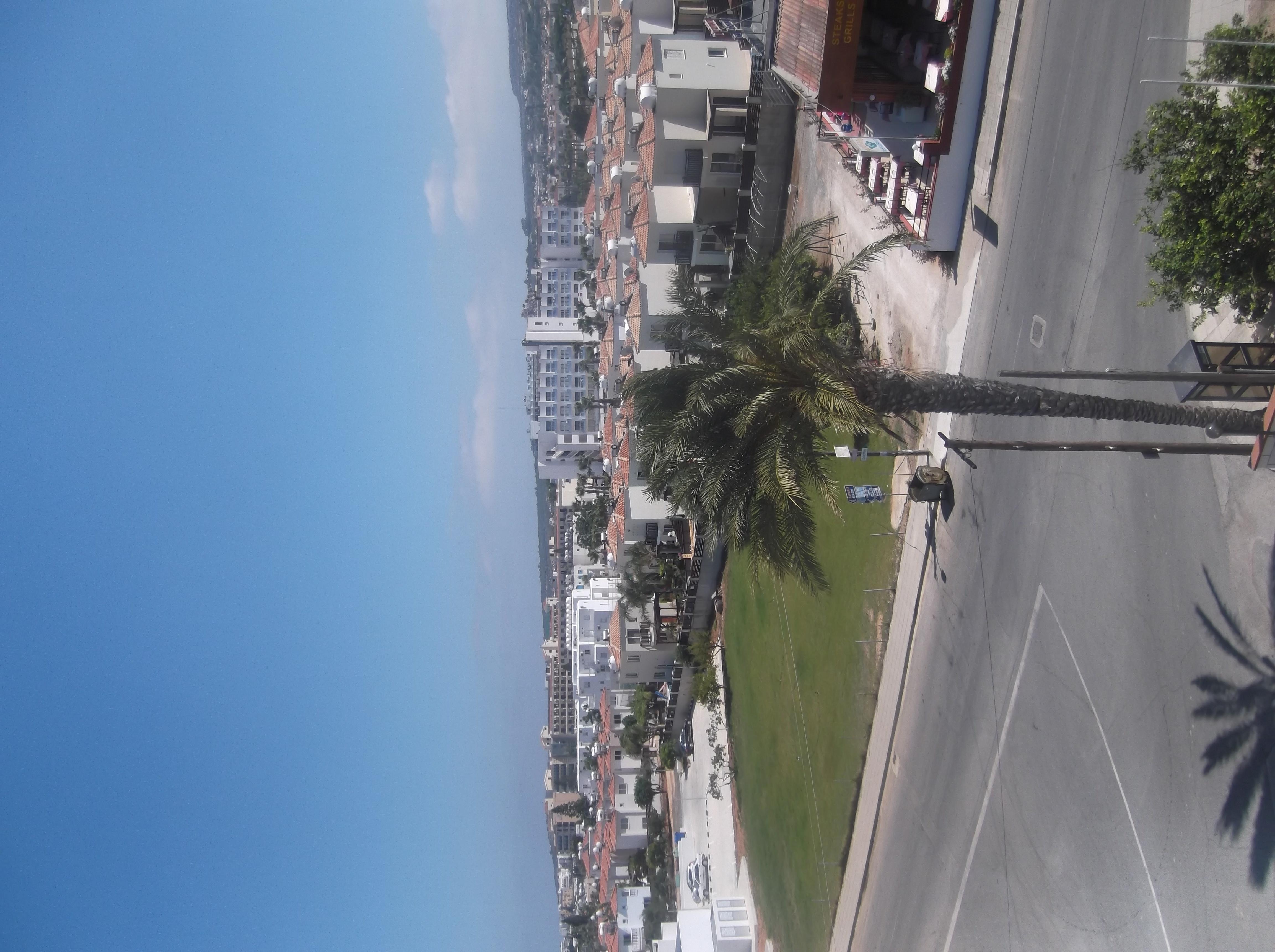 Livas