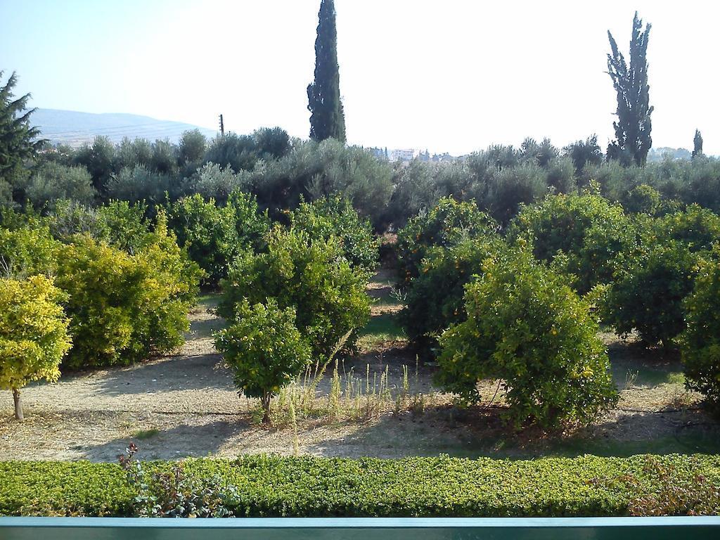 Hotel Natura And