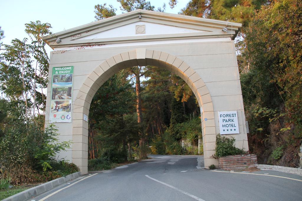 Forest Park Platres